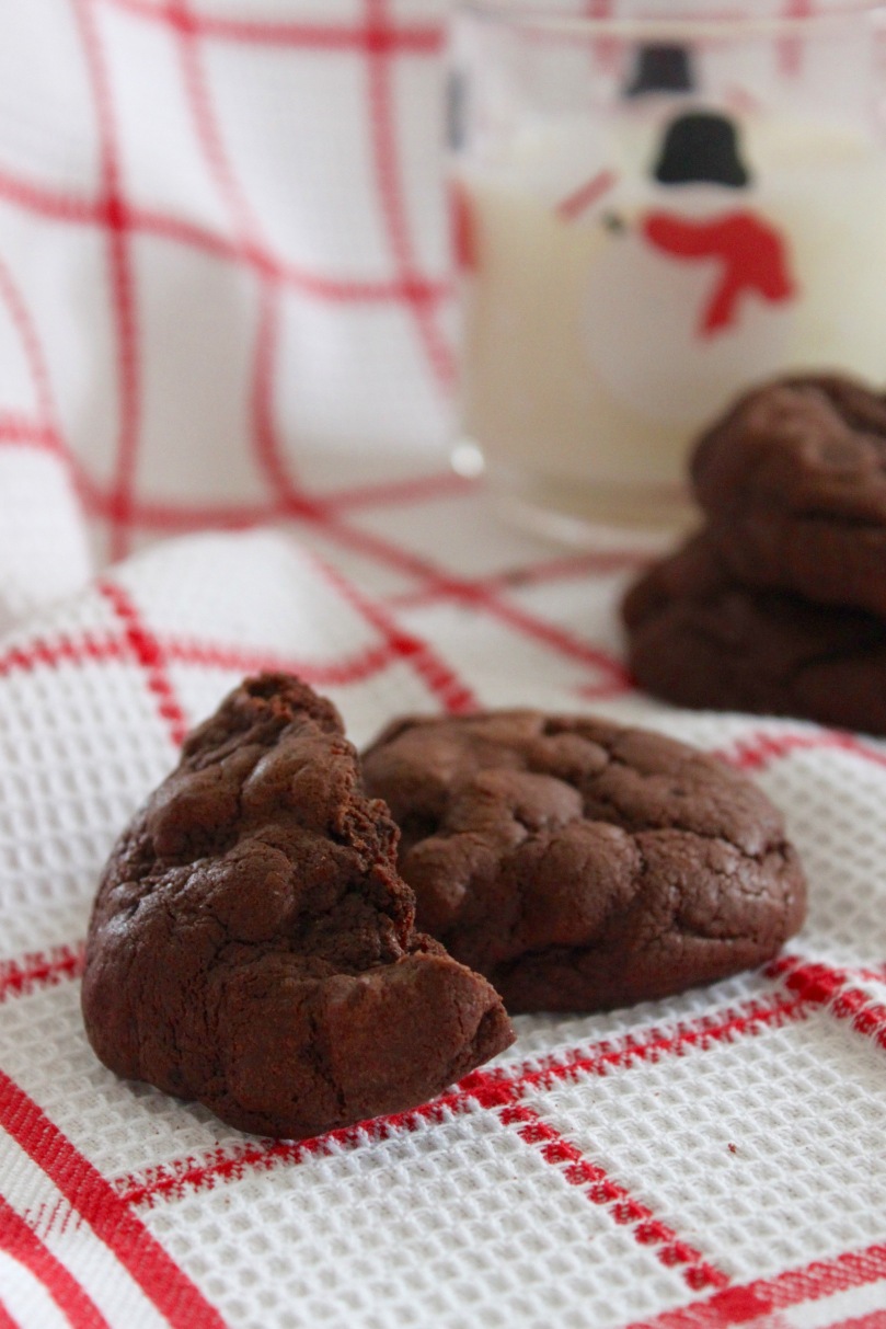 Fudgy Chocolate Chip Cookies 2